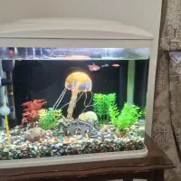 آکواریوم 30*40 ماهیران