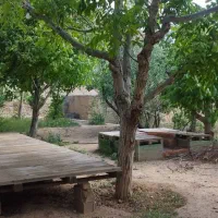 برگزاری جشن‌دورهمی‌وتولد درییلاق انزو