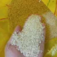 برنج عنبر بو شوشتربا طبع گرم بارجدیدرسید.|خوردنی و آشامیدنی|آران و بیدگل, |دیوار