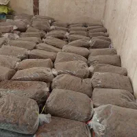 الو خوانسار