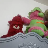 3 تا خرس سالم