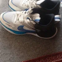 کفش کتونی|کیف، کفش، کمربند|بندر انزلی, بشمن|دیوار