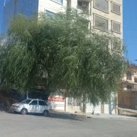 رهن-و-اجاره-آپارتمان