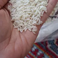 برنج هاشمی درجه یک