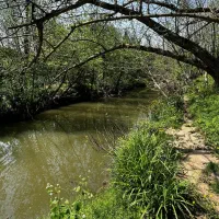 ویلا باغ بزرگ دنج با هیزم و آتش|اجارهٔ کوتاه‌مدت ویلا و باغ|رشت, ترمینال|دیوار