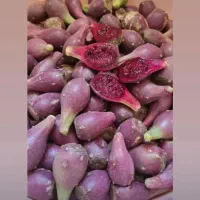 میوه کاکتوس