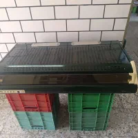 هود|هود|دزفول, |دیوار