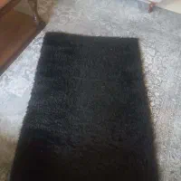 فرش تدی|فرش|مشهد, بهارستان|دیوار