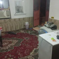 باغبان|خدمات باغبانی و درختکاری|فاریاب, |دیوار
