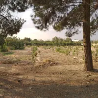 760-متر-زمین-اسلامشهر-مجاور-بافت-روستای-نظام-آباد