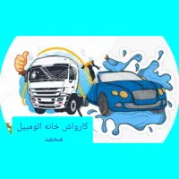 استخدام کارگر کارواش تریلی و سواری بابیمه جای خواب
