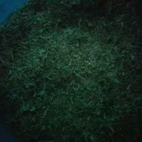 کاه لوبیاچیتی|لوازم جانبی حیوانات|لاران, |دیوار