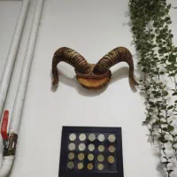 مجسمه شاخ قوچ