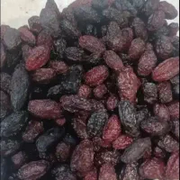 اخته زغال خشک الموت