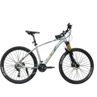 دوچرنه دبلیو استاندارد پرو تی ۳