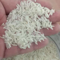 برنج طارم هاشمی سورت شده فریدونکنار|خوردنی و آشامیدنی|قم, شهرک مهدیه|دیوار