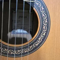 گیتار پارسی مبتدی|گیتار، بیس، امپلیفایر|تهران, سازمان برنامه شمالی|دیوار