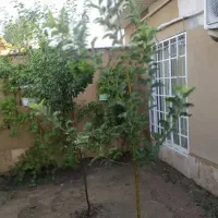 ویلا-نقلی-مرکز-شهر-سند-دار-نوساز