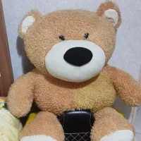 خرس بزرگ