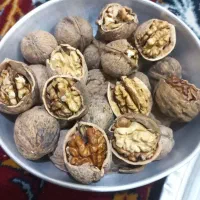 باسلام گردوبصورت عمده بفروش میرسدفقط تماس باتخفیف|عمدهفروشی|اردل, |دیوار