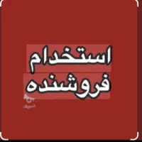 فروشنده خانم  بعداز ظهرها