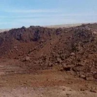 کود گاوی فراوری شده درجه 1 استان  قدس  رضوی|خدمات باغبانی و درختکاری|مشهد, شهرک صنعتی توس|دیوار