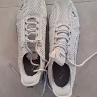 فروش یک عدد کفش پاما شماره ۴۷