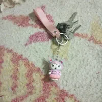 کیف مدارک پیدا شده عطائی