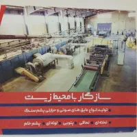 نیروی اداری خانم