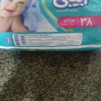 مای بی بی بچه