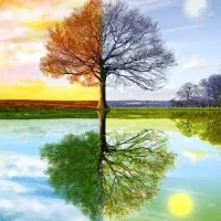 شاگرد سبزی فروشی