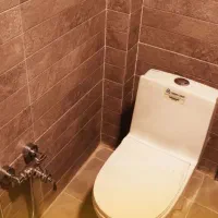 توالت فرنگی درجه یک چینی کرد، مروارید، مینا و غیره