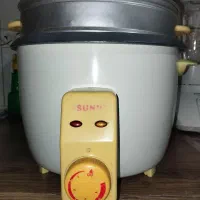 پلوپز بخارپز سانی
