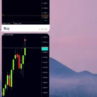 سیگنال فارکس Eur/Usd|خدمات آموزشی|تهران, اختیاریه|دیوار