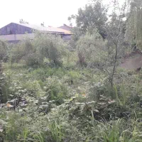 معاوضه فوری