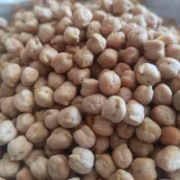 کاملا تازه ویکدست