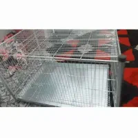 قفس نو مناسب گربه و سگ