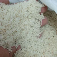 برنج هاشمی معطر به قیمت تعاونی|خوردنی و آشامیدنی|قم, شهرک فاطمیه|دیوار