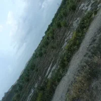 فروش باغ شلیل روستای توپوزآباد