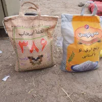 برنج پاکستانی باسماتی  تعاونی  1700