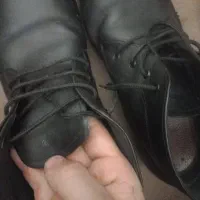 نیم بوت سایز بزرگ|کیف، کفش، کمربند|ساری, |دیوار