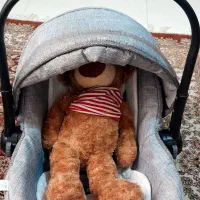 ست کریر و کالسکه دلیجان