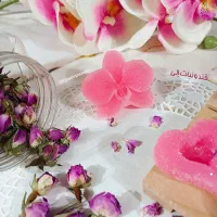 قند و نبات ارگانیک