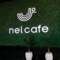 آشپز خانوم و آقا ،سالنکار خانوم آقا و خدماتی