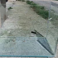آکواریوم