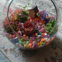 آکواریوم بزرگ|گل و گیاه طبیعی|مریوان, |دیوار