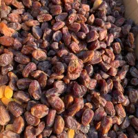 نیازمند خرماپاکن(دالکی)