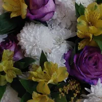 سبد گل|گل و گیاه طبیعی|تهران, آهنگران (سراسیاب دولاب)|دیوار