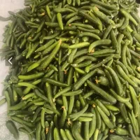 خیار
