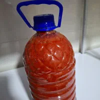 رب خانگی